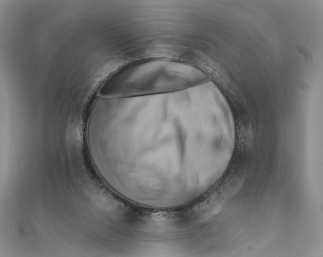 X0000111360064200908071201