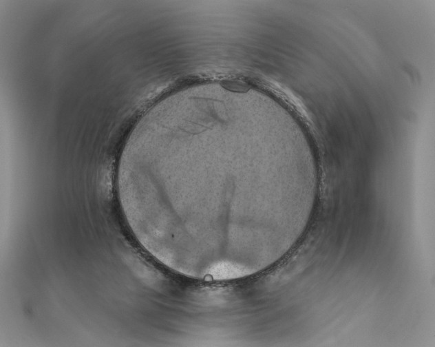 X0000111360065200908071201