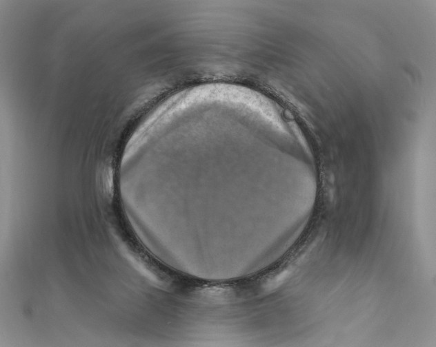 X0000111360067200908071201