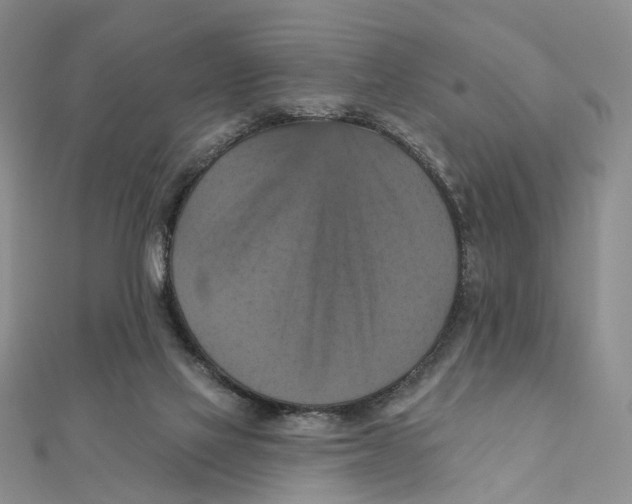 X0000111360069200908071201