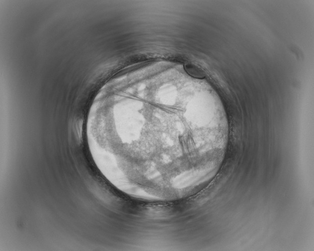 X0000111360070200908071201