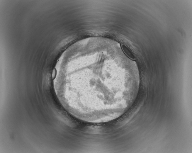 X0000111360071200908071201