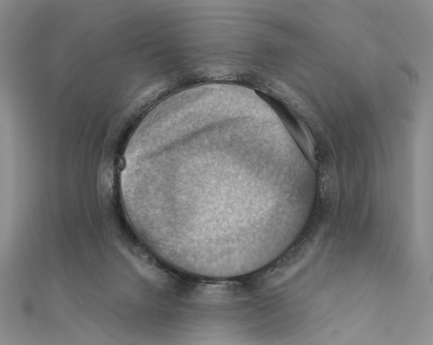 X0000111360072200908071202