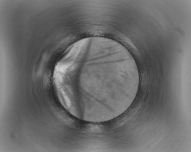 X0000111360073200908071202