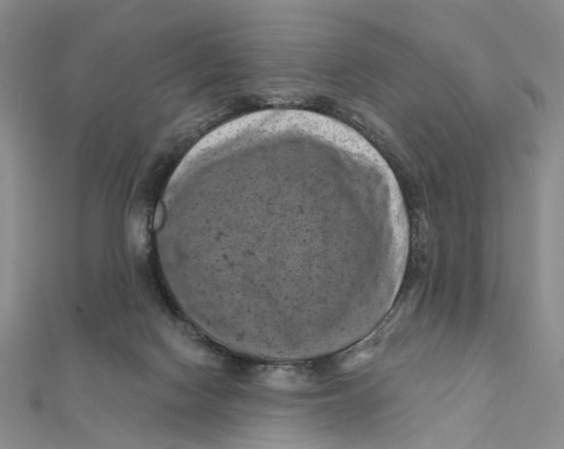 X0000111360074200908071202