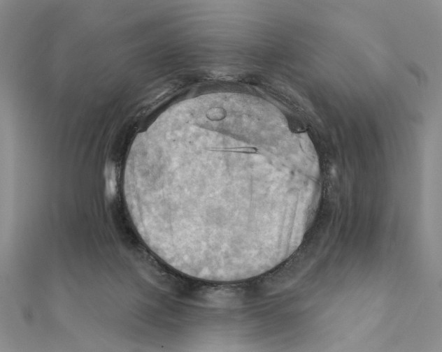 X0000111360075200908071202