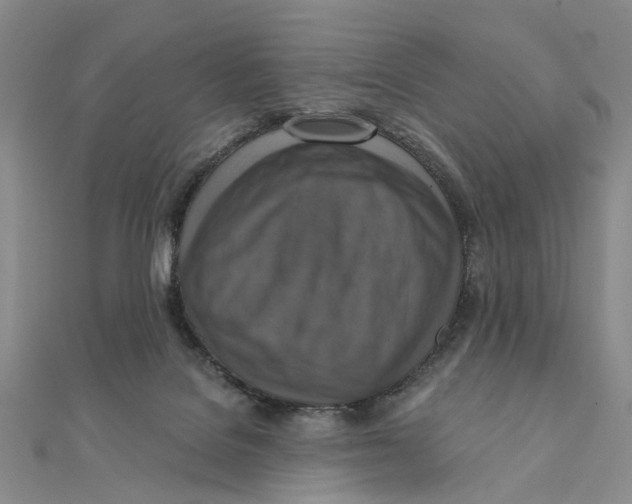 X0000111360076200908071202