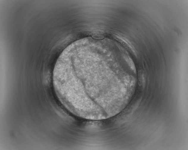 X0000111360077200908071202