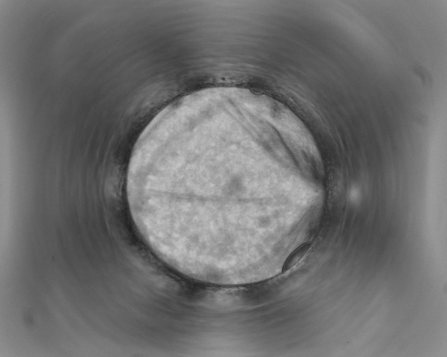 X0000111360078200908071202