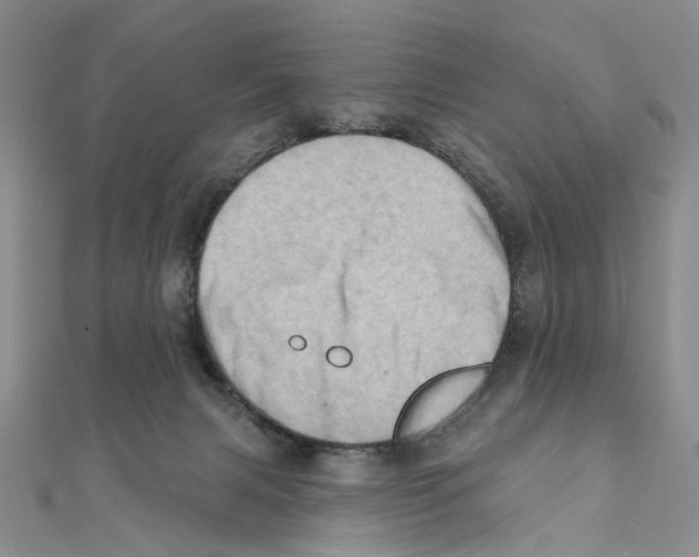 X0000111360079200908071202