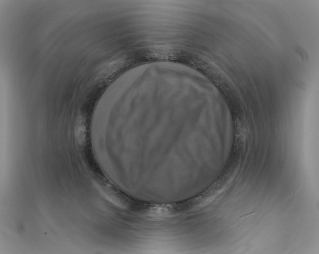 X0000111360080200908071202