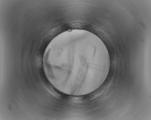 X0000111360081200908071202