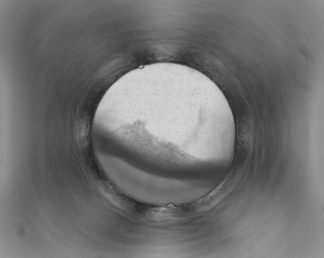 X0000111360082200908071202