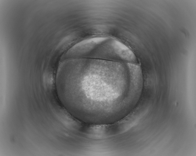 X0000111360084200908071202