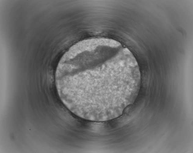 X0000111360085200908071202