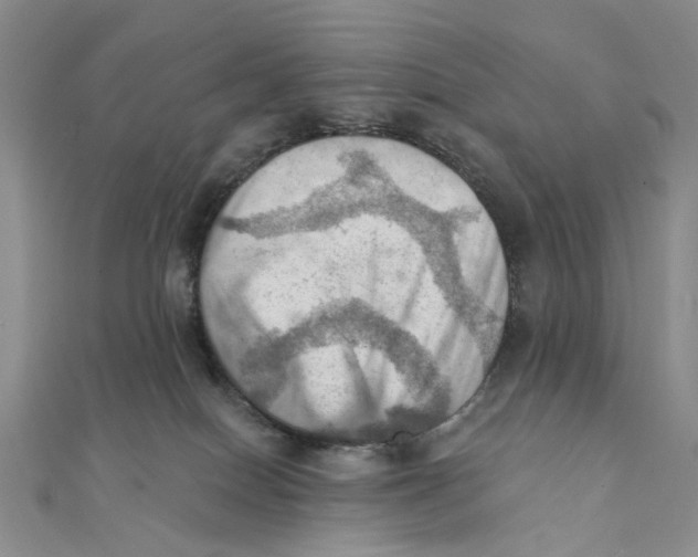 X0000111360086200908071202