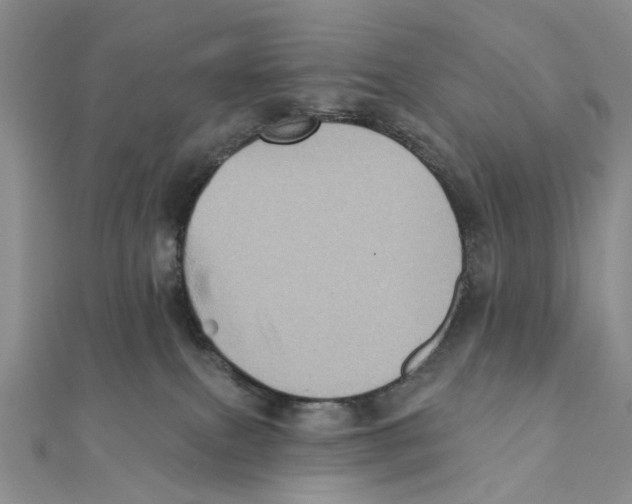 X0000111360087200908071202