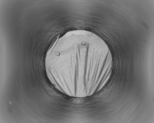 X0000111360088200908071202