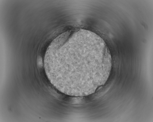 X0000111360089200908071202