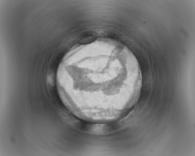 X0000111360090200908071202