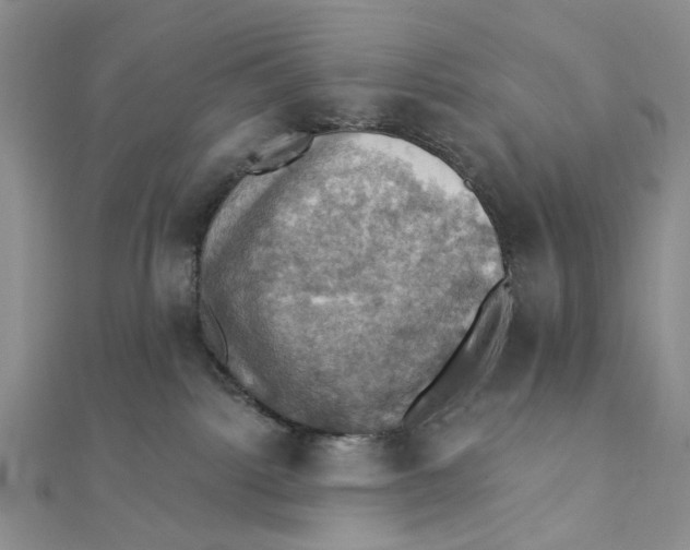 X0000111360092200908071202