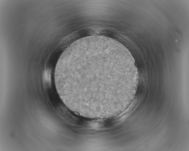 X0000111360094200908071202