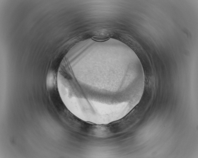 X0000111360095200908071202