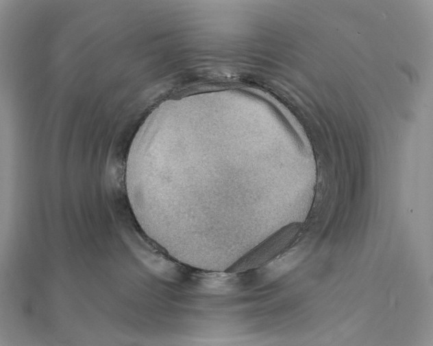 X0000111360096200908071202