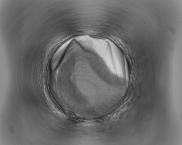 X0000111360097200908071201