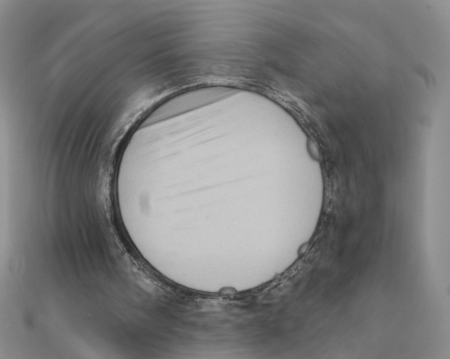 X0000111360098200908071201