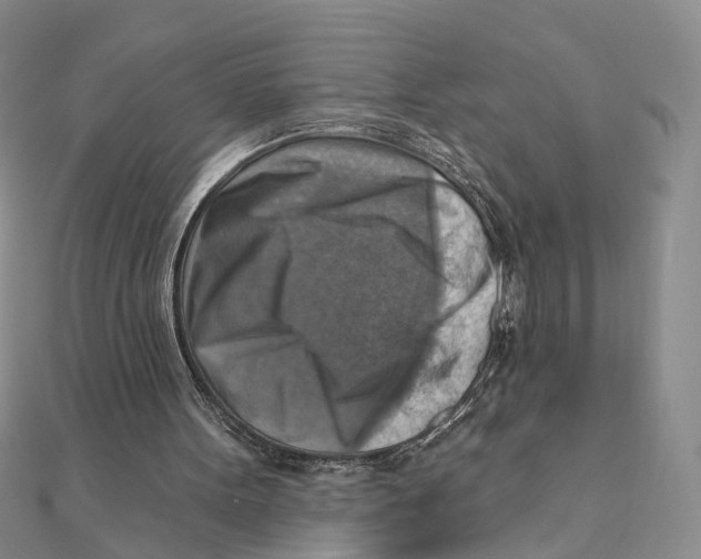 X0000111360099200908071201