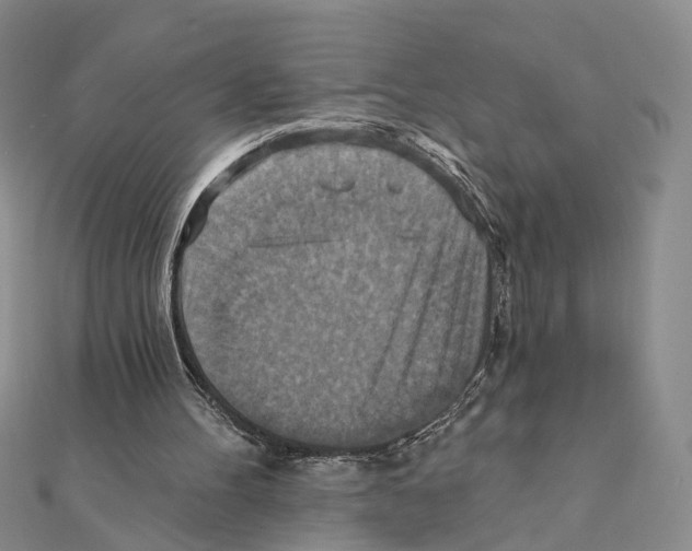 X0000111360100200908071201