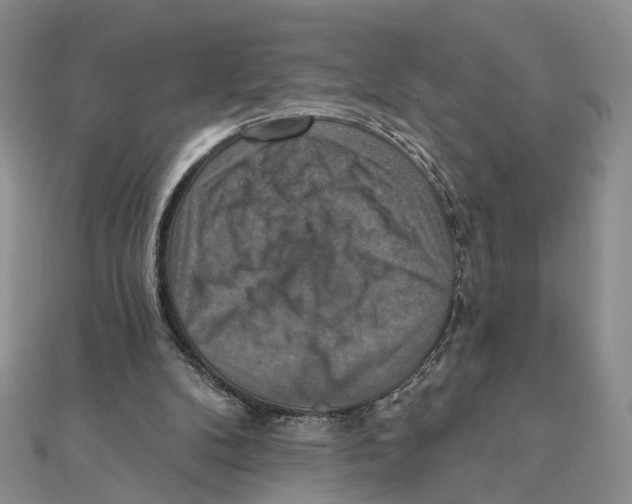 X0000111360104200908071201