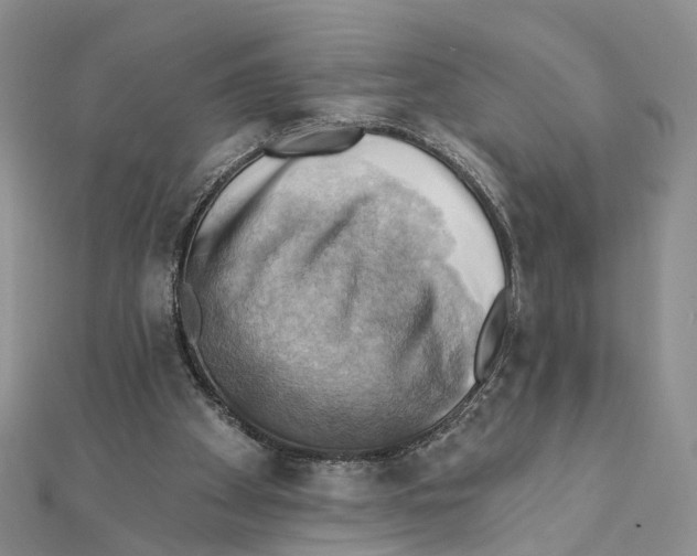 X0000111360105200908071201