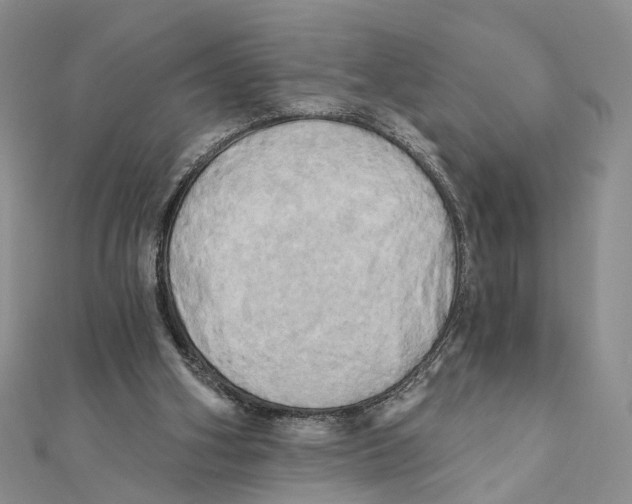 X0000111360106200908071201