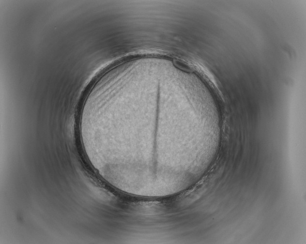 X0000111360108200908071201