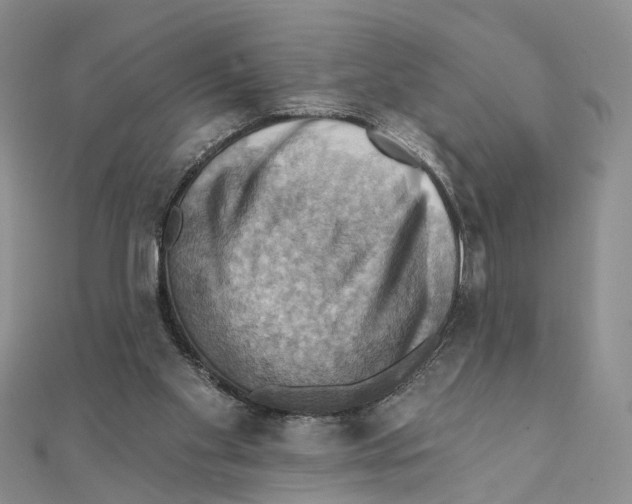 X0000111360109200908071201