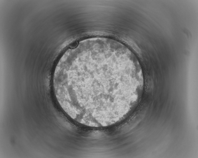 X0000111360111200908071201