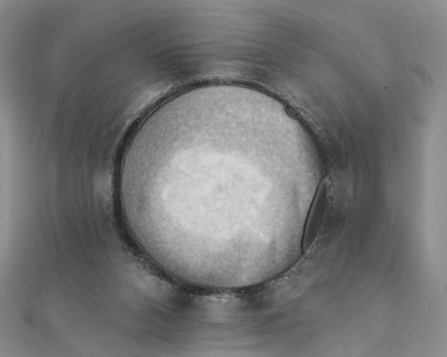 X0000111360112200908071201