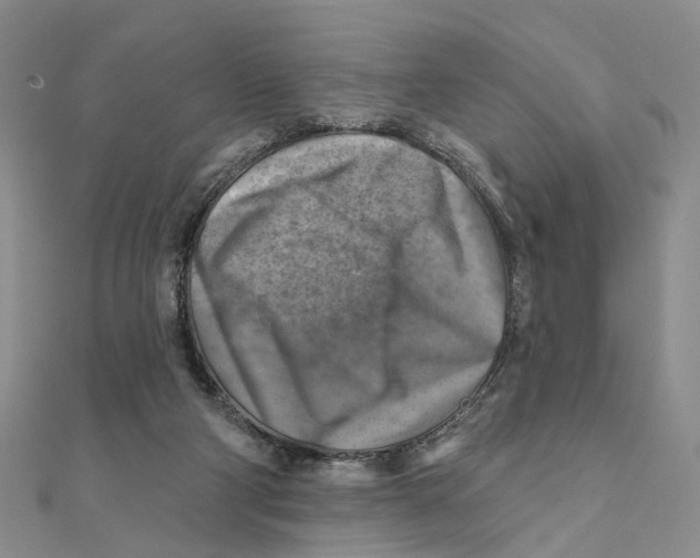 X0000111360114200908071201