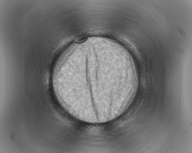 X0000111360115200908071201