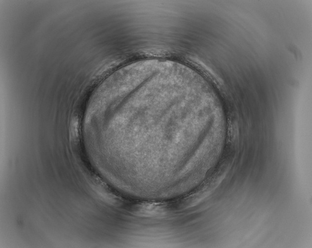 X0000111360117200908071201