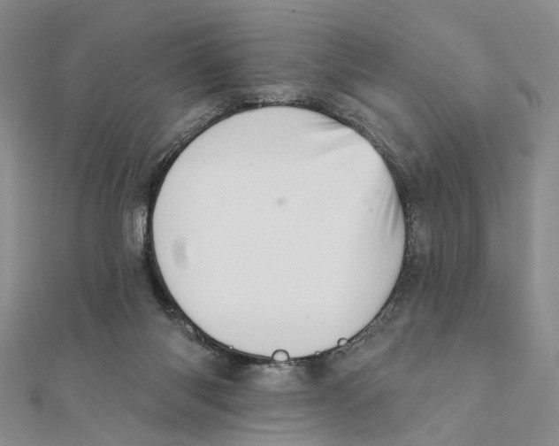 X0000111360118200908071201