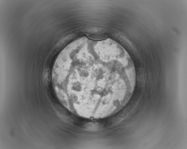 X0000111360119200908071201