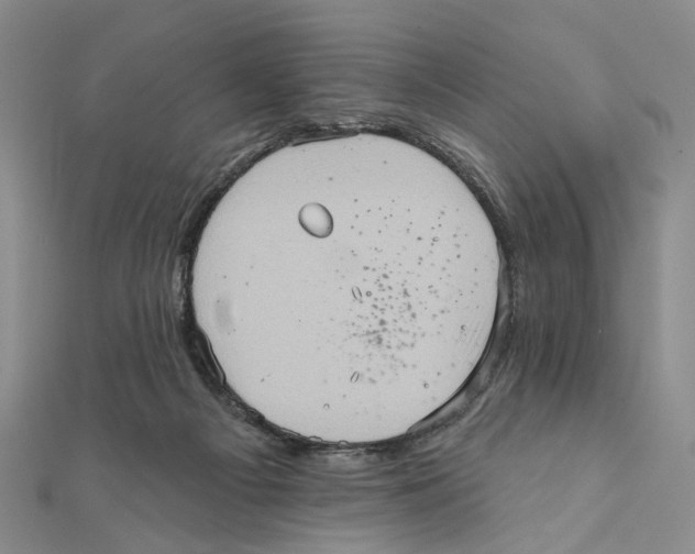 X0000111360121200908071201