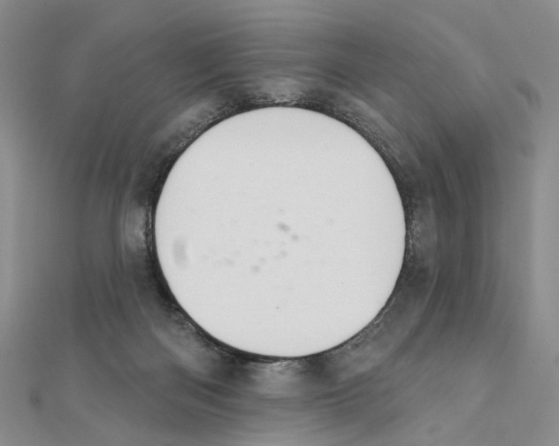 X0000111360122200908071201