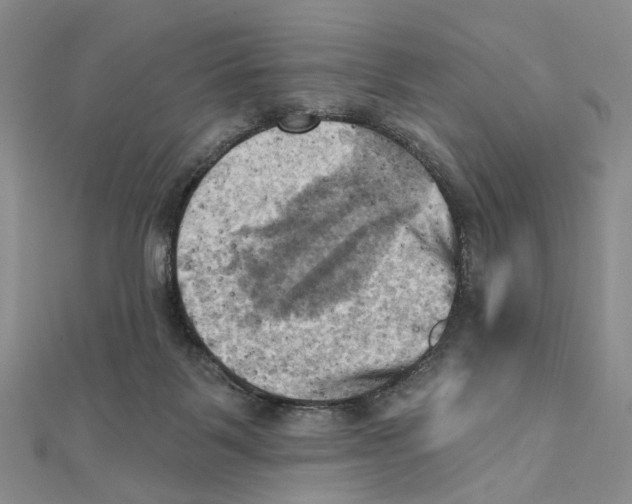 X0000111360123200908071201