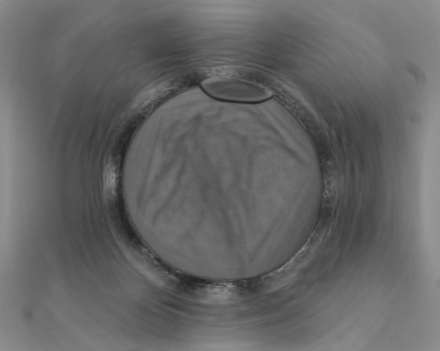 X0000111360124200908071201