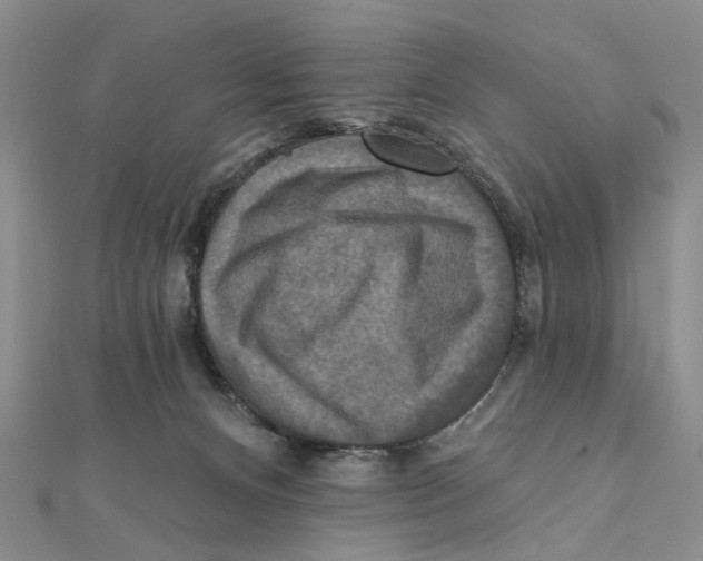 X0000111360128200908071201