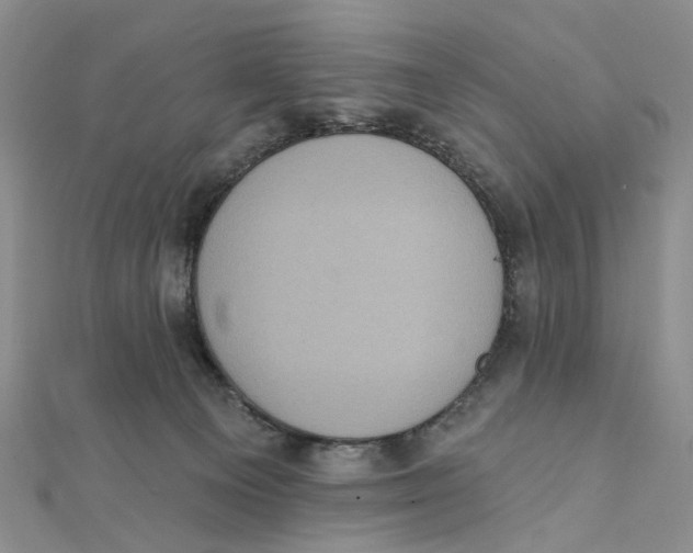 X0000111360129200908071201